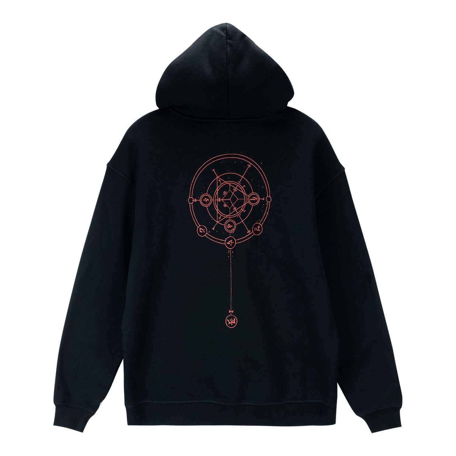 Diablo IV Tree of Whispers Black Pullover Kapuze - Rückenansicht Hood Up