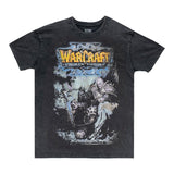 Warcraft Frozen Throne Grey T-Shirt